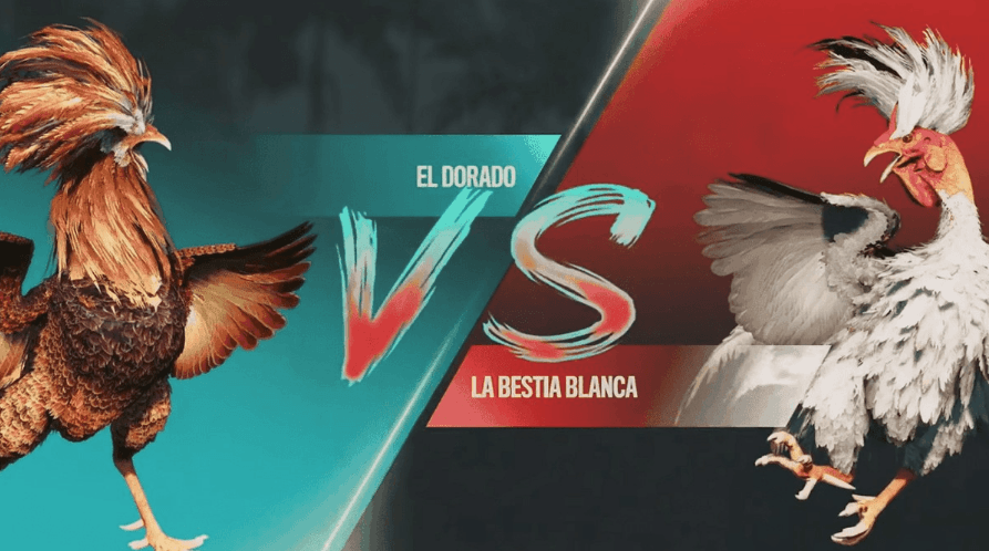 1111game E-Sports Online e Plataforma Segura